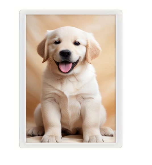 Magnetic Fridge Photo Picture Frame | Magnet Pic Insert Pocket | FREE POST