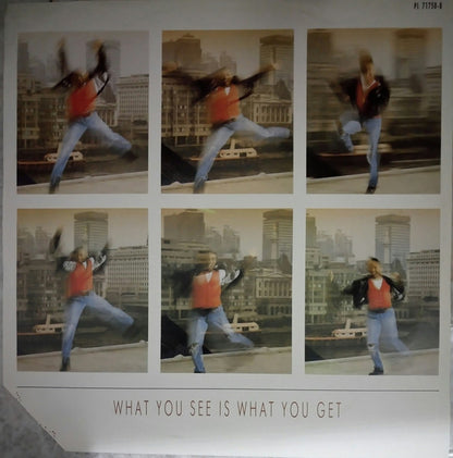 Glen Goldsmith : What You See Is What You Get (LP, Album)